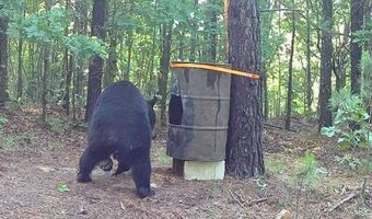 TR 55 56 57 & 23 PINE TREE TRAIL, Albion, OK 74571