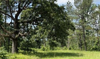 Marsalis Road, Arcadia, LA 71001
