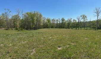 PEAR BLOSSOM Ln lot 10 And 11, Adamsville, TN 38310