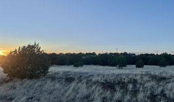 317 Forest Line Cir, Ash Fork, AZ 86320