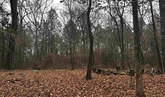 67 Old Wire Rd, Atkins, AR 72823
