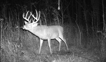 189 Th St, Albia, IA 52531