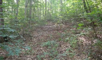 1454 Crane Ln, Woodhull, NY 14801