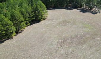 415229 N Hall Rd, Antlers, OK 74523