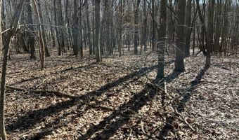 5725 Whitneyville Ave SE, Alto, MI 49302