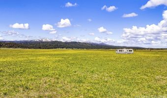 17 Gray Ln, Cascade, ID 83611
