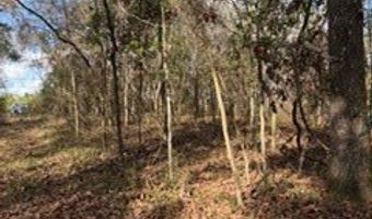 SW 22nd Pl, Bell, FL 32619
