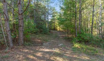 42 County Highway 79, Bear Creek, AL 35581