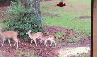 6629 Eubank Dr, Appling, GA 30802