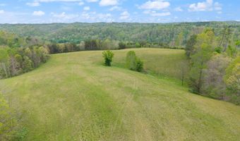 371 Big Branch Rd, Beattyville, KY 41311