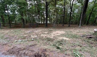 1 CENTURAS Cir 2, Alpine, AL 35014