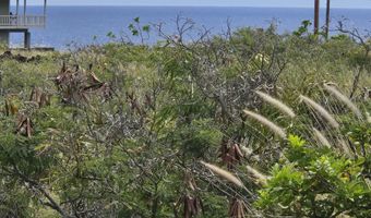AKAHI AVE, Captain Cook, HI 96704