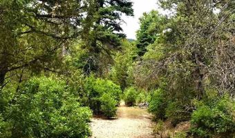 53 Paw A Suki, Arroyo Seco, NM 87514