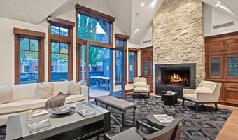 719 E Hopkins Ave 202, Aspen, CO 81611