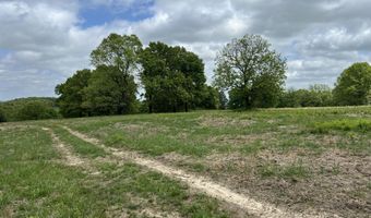 Co Rd 321 Route 5, Ava, MO 65608
