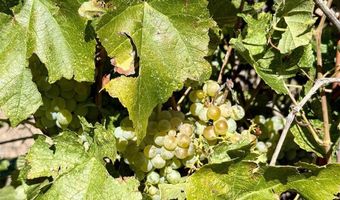 20812 Vista Grande Dr, Austin, CO 81410