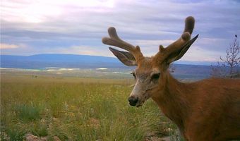 nhn Ranger Way lot Bvr 942-10, Belfry, MT 59008