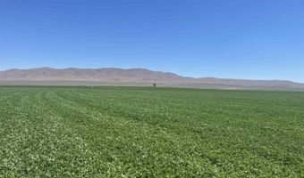 51955 Wilder Creek Rd, Denio, NV 89404