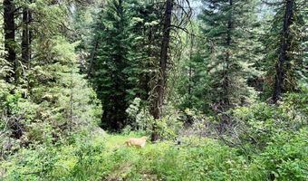 53 Landale Ln 37, Cascade, ID 83611
