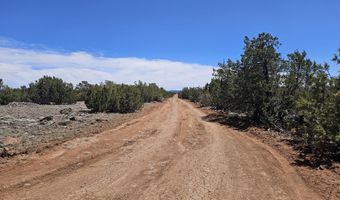 ACR N8388 and N8385, Concho, AZ 85924