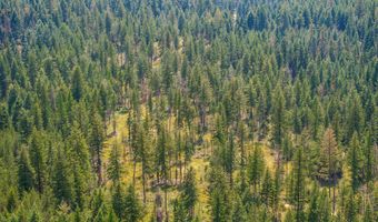 E Quarter Mile Rd, Athol, ID 83801
