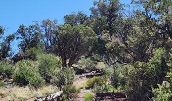 Lot 1 Big View, Ash Fork, AZ 86320
