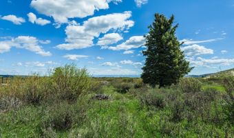 COTTONWOOD-MERNA 23-116, Daniel, WY 83115