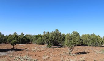 113 County Road 8092 Cedar, Concho, AZ 85924