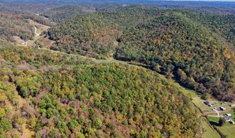 1076 Big Run Rd, Alma, WV 26320