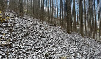 Letties Ln, Balsam, NC 28779