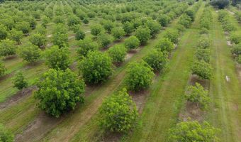 9953 Gravel Hl, Baconton, GA 31716