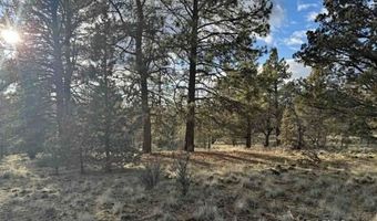 Canvasback, Bonanza, OR 97623