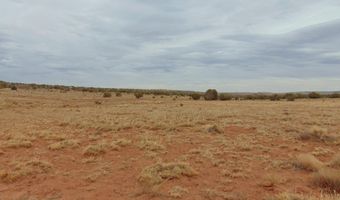 42 N5576, Concho, AZ 85924