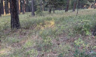Harlow Ridge Rd - Cloverland Estates 26, Asotin, WA 99402