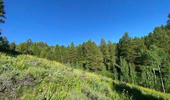 400 GROVER DRY FARM, Afton, WY 83110