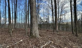 16 Malone Ridge Rd 16, Albany, KY 42602