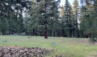 4300 Meadow Wood Rd, Carson City, NV 89703