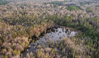 001 Old Stage Rd, Atmore, AL 36502