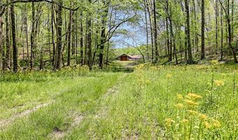 1103 Apple Pie Ridge Rd, Alto, GA 30510