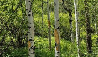 County Road 59, Allenspark, CO 80510