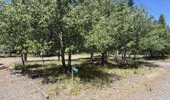 55869 Black Duck Rd, Bend, OR 97707