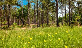 7175 BILL DORN Rd, Appling, GA 30802