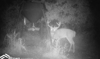 560 Th Ave, Albia, IA 52531