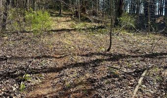 Mitchell Avenue, Bakersville, NC 28705