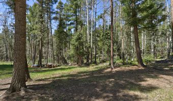63 Cimarron Trl, Angel Fire, NM 87710