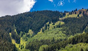 640 S Hayden Rd, Aspen, CO 81611