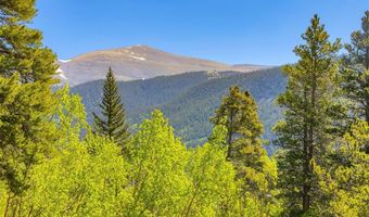 715 Lewsader Rd Lot 0, Alma, CO 80420