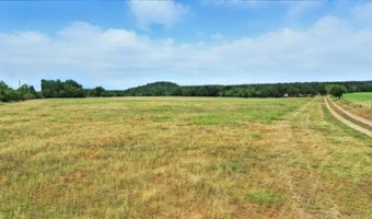 Tract 3 20.227 Acres Goen Road, Millsap, TX 76066