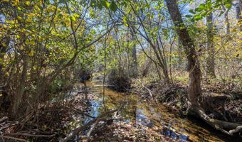 234 CREEK Rd, Afton, VA 22920