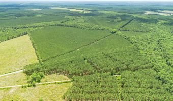 Tract A Ten Acre Rd, Andrews, SC 29510